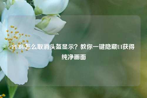 PUBG怎么取消头盔显示?教你一键隐藏UI获得纯净画面
