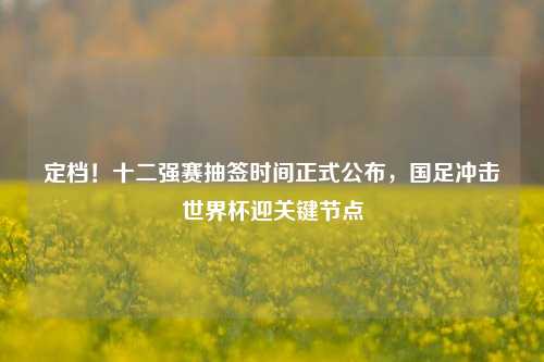 定档！十二强赛抽签时间正式公布，国足冲击世界杯迎关键节点
