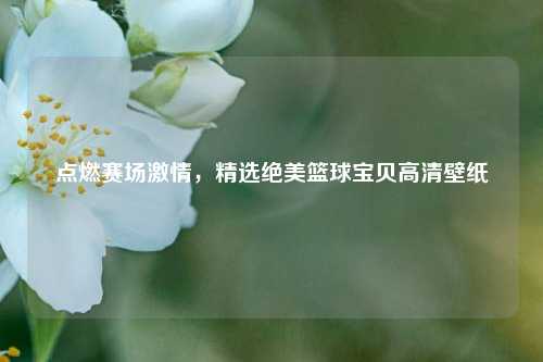 点燃赛场激情,精选绝美篮球宝贝高清壁纸