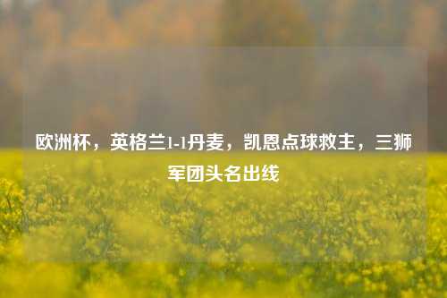 欧洲杯,英格兰1-1丹麦,凯恩点球救主,三狮军团头名出线