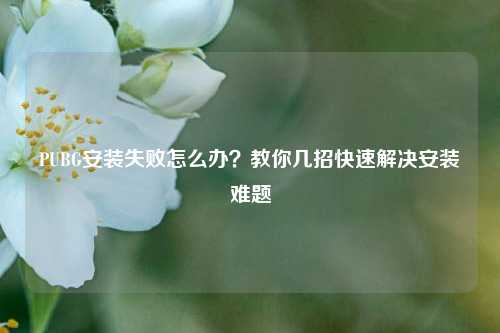 PUBG安装失败怎么办？教你几招快速解决安装难题