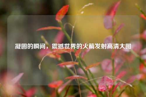 凝固的瞬间,震撼世界的火箭发射高清大图