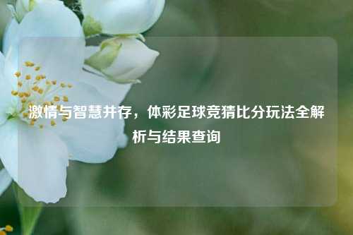 激情与智慧并存,体彩足球竞猜比分玩法全解析与结果查询