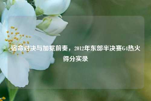宿命对决与加冕前奏,2012年东部半决赛G4热火得分实录