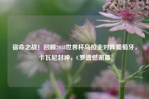 宿命之战!回顾2018世界杯乌拉圭对阵葡萄牙,卡瓦尼封神,C罗遗憾谢幕