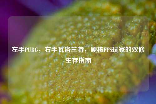 左手PUBG,右手瓦洛兰特,硬核FPS玩家的双修生存指南
