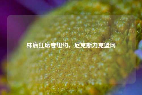 林疯狂席卷纽约,尼克斯力克篮网