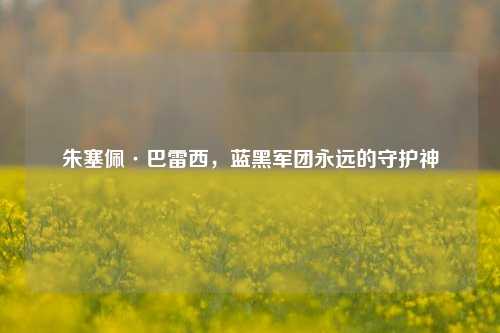 朱塞佩·巴雷西,蓝黑军团永远的守护神