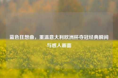 蓝色狂想曲,重温意大利欧洲杯夺冠经典瞬间与感人画面
