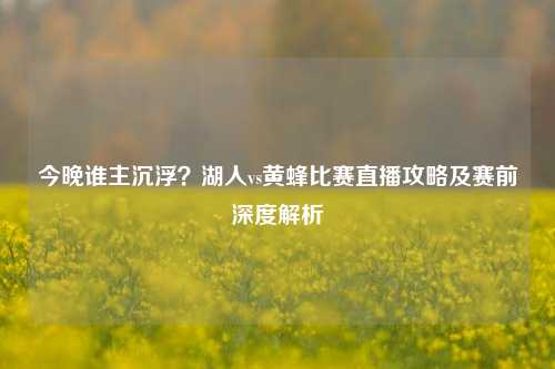 今晚谁主沉浮?湖人vs黄蜂比赛直播攻略及赛前深度解析