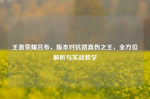 王者荣耀吕布，版本对抗路真伤之王，全方位解析与实战教学