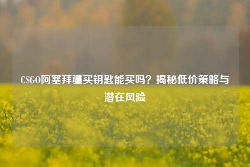 CSGO阿塞拜疆买钥匙能买吗?揭秘低价策略与潜在风险