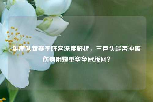 雄鹿队新赛季阵容深度解析,三巨头能否冲破伤病阴霾重塑争冠版图?