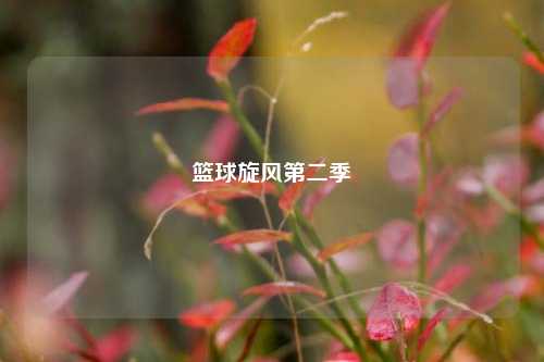 篮球旋风第二季