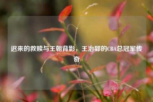 迟来的救赎与王朝背影,王治郅的CBA总冠军传奇