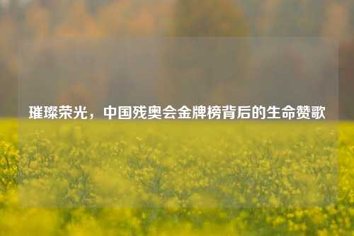 璀璨荣光,中国残奥会金牌榜背后的生命赞歌