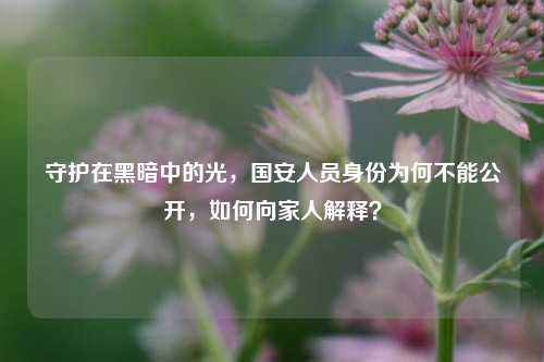 守护在黑暗中的光,国安人员身份为何不能公开,如何向家人解释?