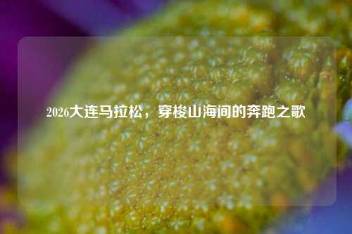 2026大连马拉松,穿梭山海间的奔跑之歌