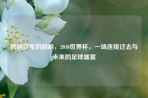 跨越百年的回响,2030世界杯,一场连接过去与未来的足球盛宴