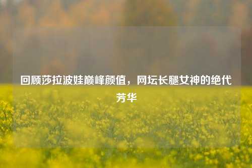 回顾莎拉波娃巅峰颜值,网坛长腿女神的绝代芳华