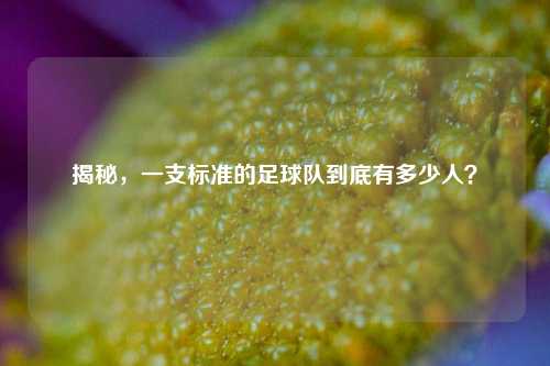 揭秘,一支标准的足球队到底有多少人?