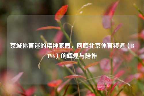 京城体育迷的精神家园,回顾北京体育频道(BTV6)的辉煌与陪伴