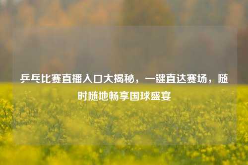 乒乓比赛直播入口大揭秘,一键直达赛场,随时随地畅享国球盛宴