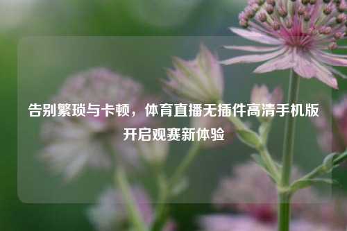 告别繁琐与卡顿,体育直播无插件高清手机版开启观赛新体验