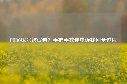 PUBG账号被误封?手把手教你申诉找回全过程