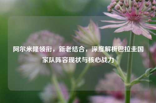 阿尔米隆领衔，新老结合，深度解析巴拉圭国家队阵容现状与核心战力