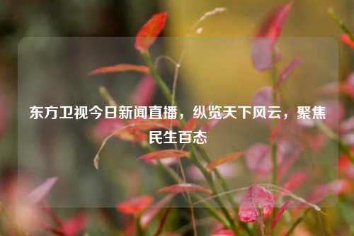东方卫视今日新闻直播,纵览天下风云,聚焦民生百态