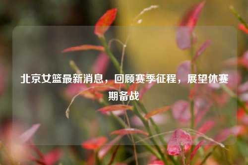 北京女篮最新消息,回顾赛季征程,展望休赛期备战