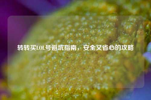 转转买LOL号避坑指南,安全又省心的攻略