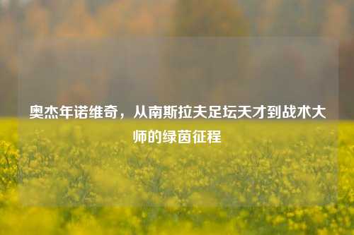 奥杰年诺维奇,从南斯拉夫足坛天才到战术大师的绿茵征程