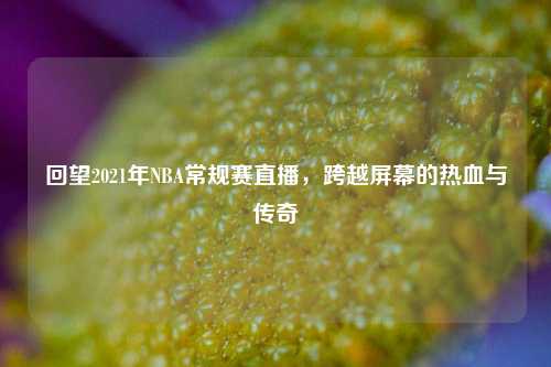回望2021年NBA常规赛直播,跨越屏幕的热血与传奇