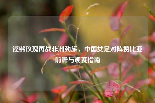 铿锵玫瑰再战非洲劲旅,中国女足对阵赞比亚前瞻与观赛指南