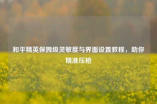 和平精英保姆级灵敏度与界面设置教程，助你精准压枪