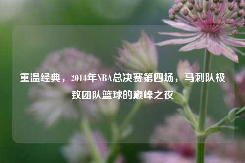 重温经典,2014年NBA总决赛第四场,马刺队极致团队篮球的巅峰之夜