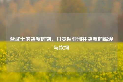 蓝武士的决赛时刻,日本队亚洲杯决赛的辉煌与坎坷