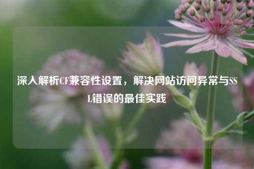 深入解析CF兼容性设置,解决网站访问异常与SSL错误的最佳实践