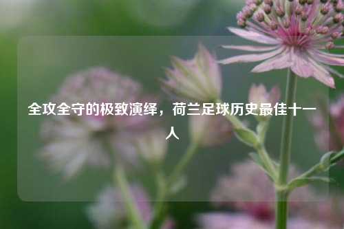 全攻全守的极致演绎,荷兰足球历史最佳十一人