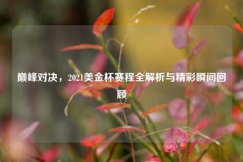 巅峰对决，2021美金杯赛程全解析与精彩瞬间回顾