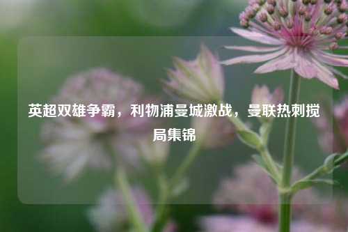 英超双雄争霸,利物浦曼城激战,曼联热刺搅局集锦