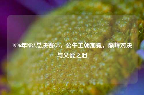 1996年NBA总决赛G6，公牛王朝加冕，巅峰对决与父爱之泪