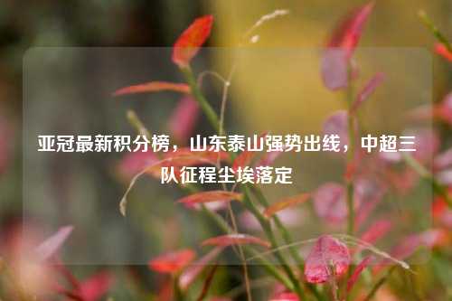 亚冠最新积分榜，山东泰山强势出线，中超三队征程尘埃落定