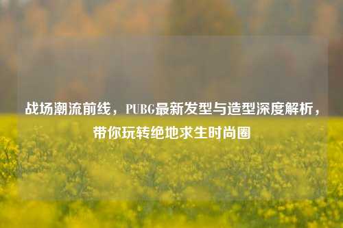 战场潮流前线,PUBG最新发型与造型深度解析,带你玩转绝地求生时尚圈