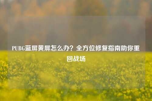 PUBG蓝屏黄屏怎么办？全方位修复指南助你重回战场
