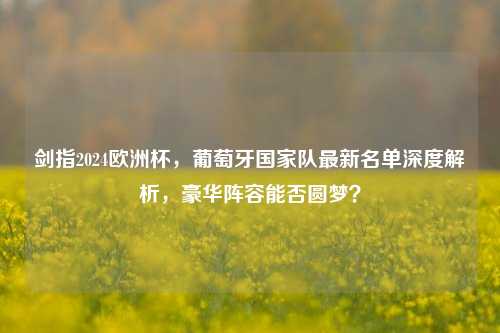 剑指2024欧洲杯,葡萄牙国家队最新名单深度解析,豪华阵容能否圆梦?