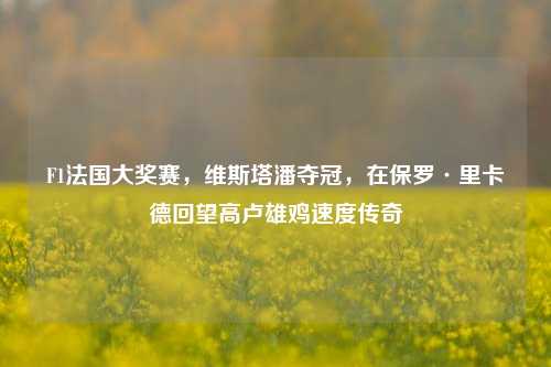 F1法国大奖赛，维斯塔潘夺冠，在保罗·里卡德回望高卢雄鸡速度传奇