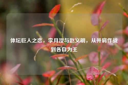 体坛巨人之恋,李月汝与赵义明,从并肩作战到各自为王